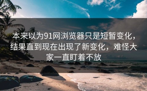 本来以为91网浏览器只是短暂变化，结果直到现在出现了新变化，难怪大家一直盯着不放