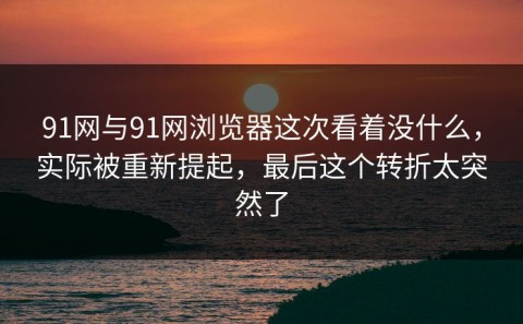 91网与91网浏览器这次看着没什么，实际被重新提起，最后这个转折太突然了
