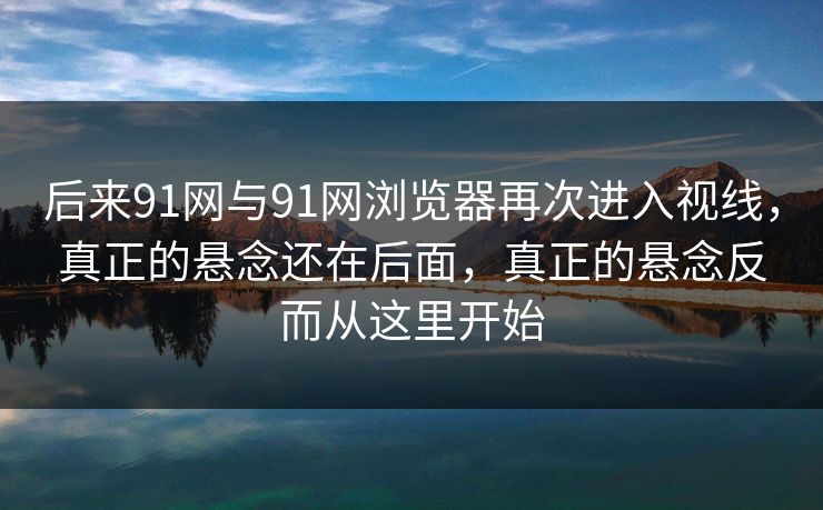 后来91网与91网浏览器再次进入视线，真正的悬念还在后面，真正的悬念反而从这里开始