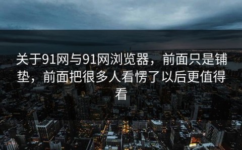 关于91网与91网浏览器，前面只是铺垫，前面把很多人看愣了以后更值得看