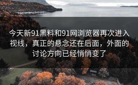 今天新91黑料和91网浏览器再次进入视线，真正的悬念还在后面，外面的讨论方向已经悄悄变了